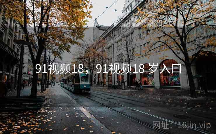 91视频18，91视频18 岁入口