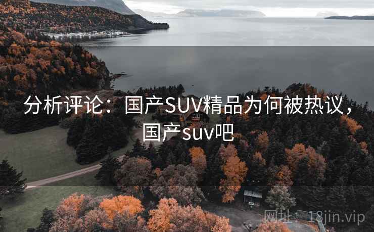 分析评论:国产SUV精品为何被热议,国产suv吧