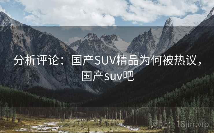 分析评论:国产SUV精品为何被热议,国产suv吧
